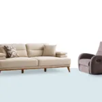 Axion Koltuk Takımı